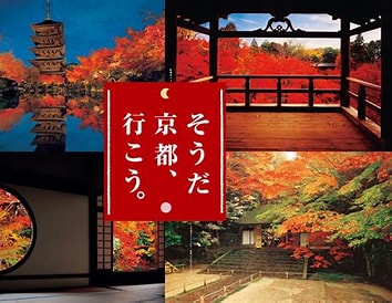 News🎵「そうだ京都行こう！」
